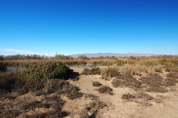 Albufera de Rambla de Morales in Cabo de Gata, Provinz Almería, Autonome Gemeinschaft Andalusien, Spanien