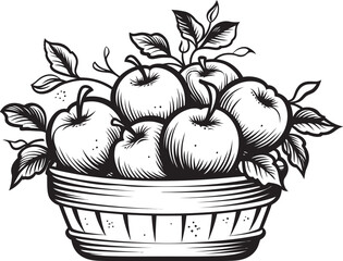 Apples and the Seasons How a Basket of Apples Represents Change in Nature