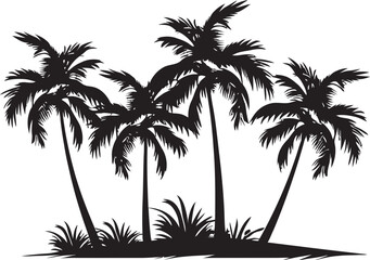 From Coconut Palms to Royal Palms A Comprehensive Guide to Beach Palm Varieties