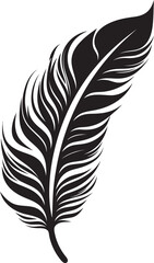 Obraz premium Understanding the Different Types of Bird Feathers A Comprehensive Guide to Structure and Purpose