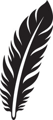 Obraz premium The Symbolism of Bird Feathers in Spirituality Connecting to Nature and the Divine