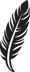 Obraz premium The Relationship Between Bird Feathers and Climate Adaptation Insights into Evolution