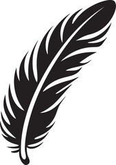 Bird Feathers in Educational Programs Engaging Communities in Conservation Efforts