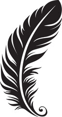 Obraz premium Understanding Bird Feather Structure The Unique Design Features That Enable Flight and Insulation