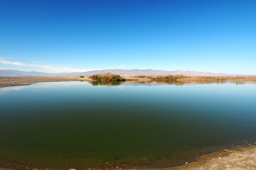 Albufera de Rambla de Morales in Cabo de Gata, Provinz Almería, Autonome Gemeinschaft Andalusien, Spanien