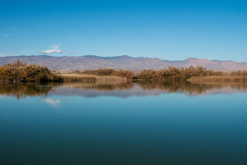 Albufera de Rambla de Morales in Cabo de Gata, Provinz Almería, Autonome Gemeinschaft Andalusien,...