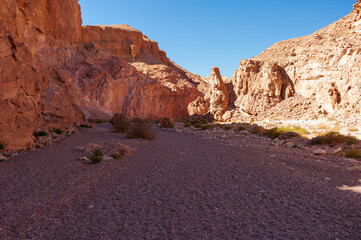 A desert landscape with a large rock formation in the background