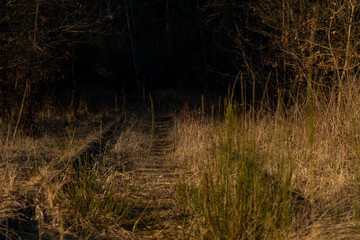 View for old overgrown sidetrack from Kajov to Vetrni with paper factory
