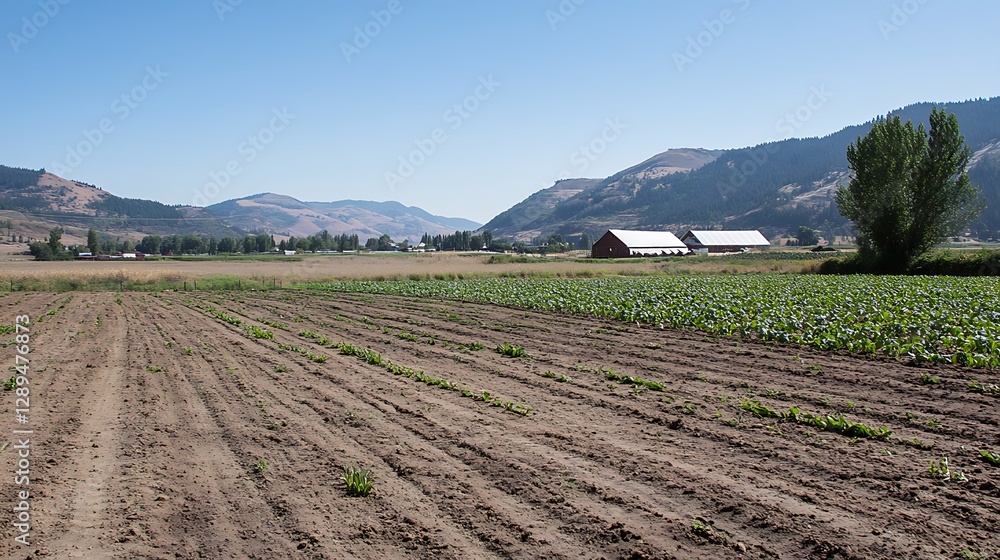 Poster a panoramic view of a large-scale farm with different crops and a barn in the distance