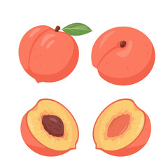 Fresh peaches fruit from different sides. Whole and half peach with pit. Organic fruits for juice, smoothie or vitamin healthy food. Vector illustration isolated on white background.