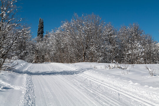 View of winter snowy mountain landscape with groomed cross-country ski trails in Utah State. High quality photo
