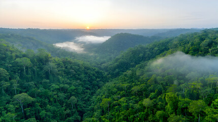 Fototapeta premium Sunrise over lush rainforest valley, misty morning, aerial view, nature background