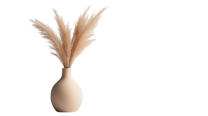 Stylish ceramic vase with dried pampas grass, minimalistic home decor concept, interior design inspiration, isolated on a white background