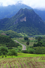 Scenic forest view at Tham Sakaen, border area of Nan Province. with Phayao Province, Thailand 
