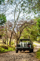 An old pickup truck loaded with metal milk canisters drives along a rugged dirt road, surrounded by lush trees and farmland under a bright sky. © Walter