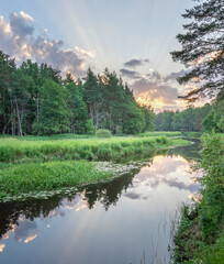 Fototapeta premium River with a lot of trees and grass on the banks