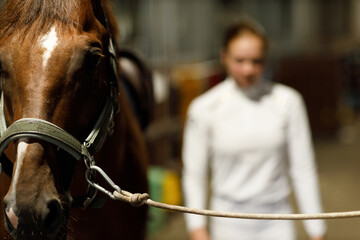 Woman rider jockey at stable preparing horse racing or jumping competition