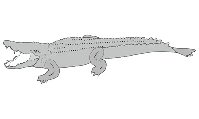   crocodile silhouette vector illustration black and white 2