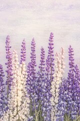 Obraz premium Beautiful colorful wild flowers in Spring.