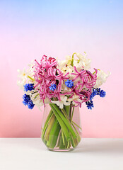 Beautiful spring flowers hyacinths and muscari in vase on light background, banner,Abstract floral arrangement, still life with space for text, floral holiday card, summer greeting concept,