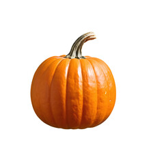 Obraz premium pumpkin isolated on transparent background