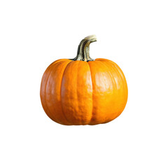 pumpkin isolated on transparent background