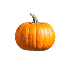 pumpkin isolated on transparent background