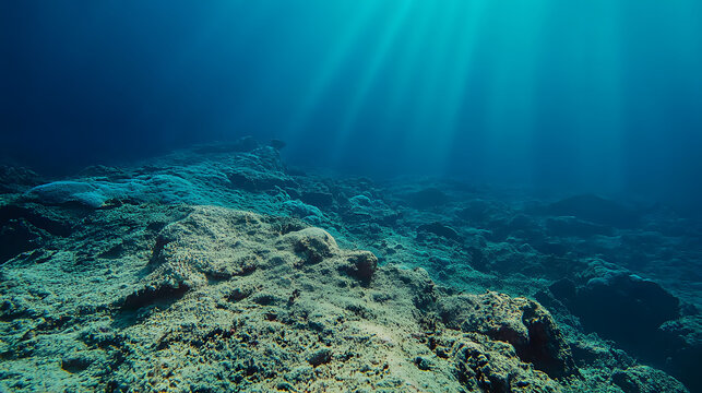 A coral reef destroyed by bleaching with pale lifeless coral stretching into the distance.