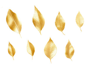 Fototapeta premium gold leaves set of 8 