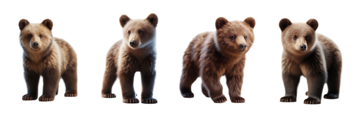 Four bear cubs stand together, showcasing their playful nature. They exhibit various poses, highlighting their curiosity and innocence in a bright, outdoor environment