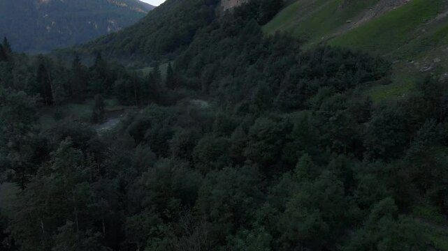 Le Giffre River in Sixt Fer A Cheval Nature Park, Summer Morning Walk in Nature park, french alps, France, 4k drone video