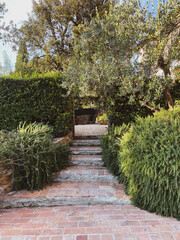 Tuscan Villa Garden