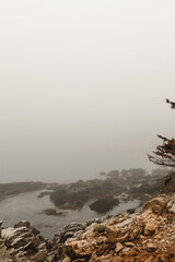 A rocky shoreline in Maine