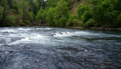 river in the forest