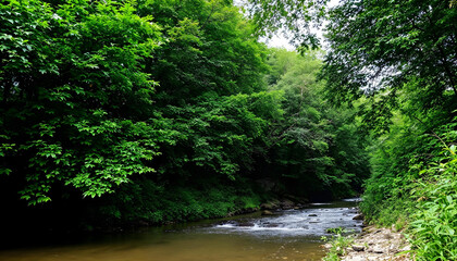 river in the dense forest