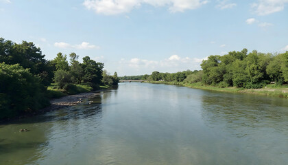 river in the forest
