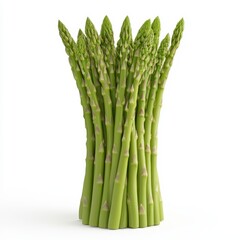 Fresh Green Asparagus Bundle on White Background