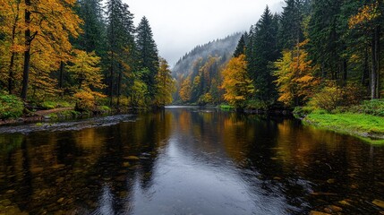 Obraz premium Autumnal river valley, misty forest reflection