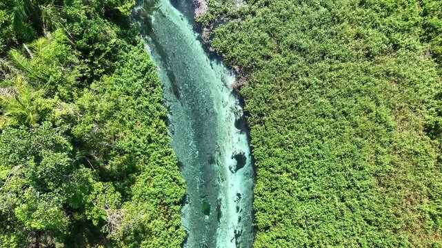 Rio Sucur&iacute;, Bonito, cristalino en la selva de Matto Grosso do Sul, Brasil