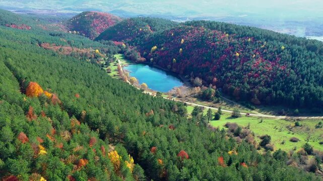 Aerial view of Şirinyazı Pond in Bolu Mengen, Turkey. The image captures autumn trees with golden poplar, green pine, and bright red and yellow leaves. The pond is surrounded by hills and a dense fore