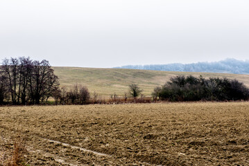 Obraz premium landscape. agricultural fields in winter