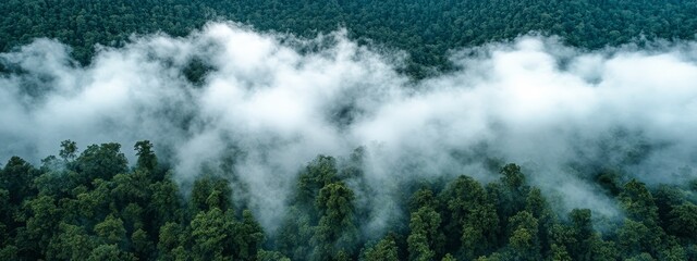 Obraz premium Aerial panoramic view of tropical mountains covered in lush greenery with mist and fog in the distance, under a vast blue sky with scattered white clouds, creating a serene and breathtaking landscape.
