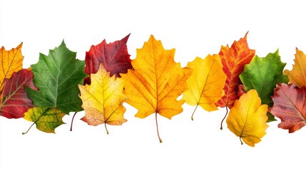 Fototapeta premium Colorful autumn leaves form endless borders. These borders feature forest leaves in bright hues, perfect for greeting cards, banners, and web designs. They add a touch of fall to any occasion.