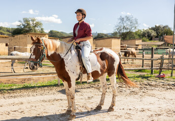 Young woman equestrian riding horse in paddock