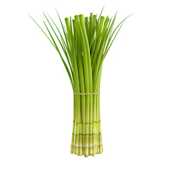 Fresh Green Garlic Scapes Bundle Tied Together Organic Produce Healthy Food