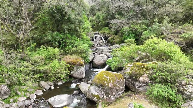 Imagen de dron de peque&ntilde;a cascada en las Yungas de Tucuman, Argentina