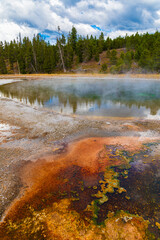 Fototapete bei efototapeten.de bestellen   