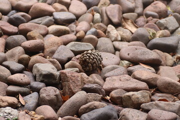 Camino de piedras