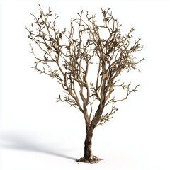 Naklejka premium Dead Plant 3D Render Isolated on White Background