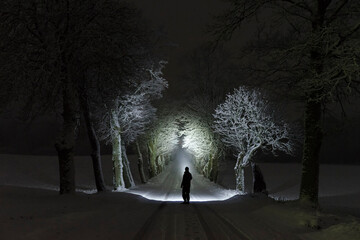 Man standing outdoors at night in tree alley shining with flashlight. Beautiful dark snowy winter...